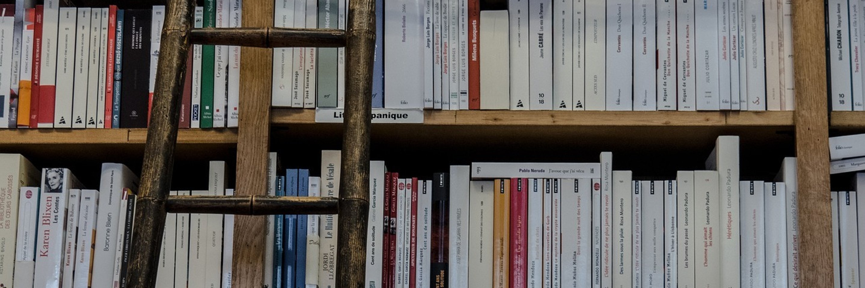 Foto mit Leiter am Bücherregal